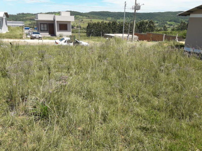 Terreno - Venda - Bom Princípio - Santo Antonio da Patrulha - RS
