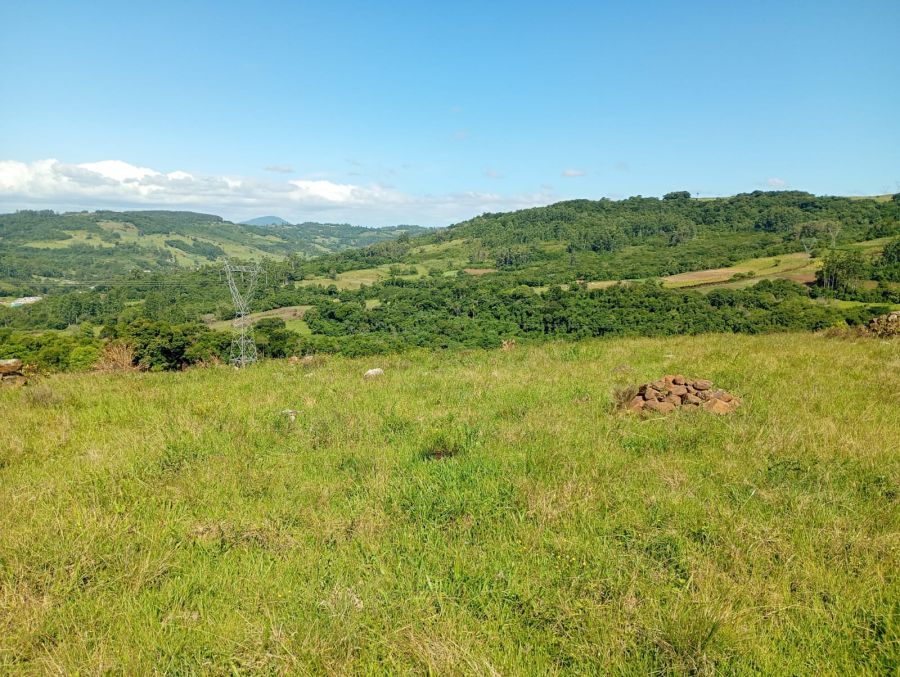 �rea - Venda - Cancela Preta - Santo Antonio da Patrulha - RS