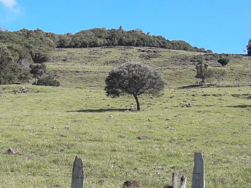 Stio - Venda - Ribeiro - Santo Antonio da Patrulha - RS