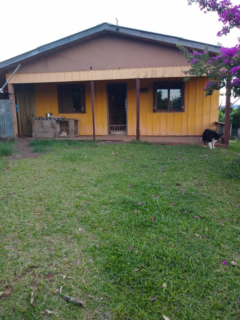 Casa - Venda - Casqueiro - Santo Antonio da Patrulha - RS