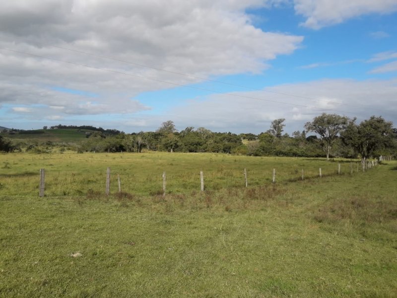 Stio - Venda - Costa da Miraguaia - Santo Antonio da Patrulha - RS