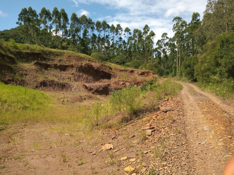 rea - Venda - Monjolo - Santo Antonio da Patrulha - RS