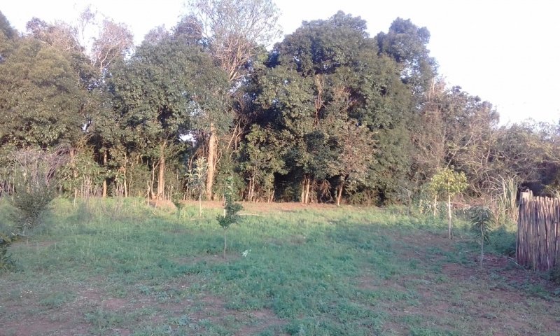 Área - Venda - Arroio Grande - Santo Antonio da Patrulha - RS