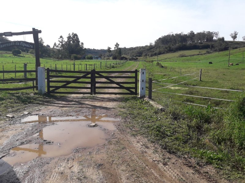 Sítio - Venda - Campestre - Santo Antonio da Patrulha - RS