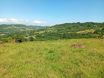 Carlos Alberto Ramos Bemfica